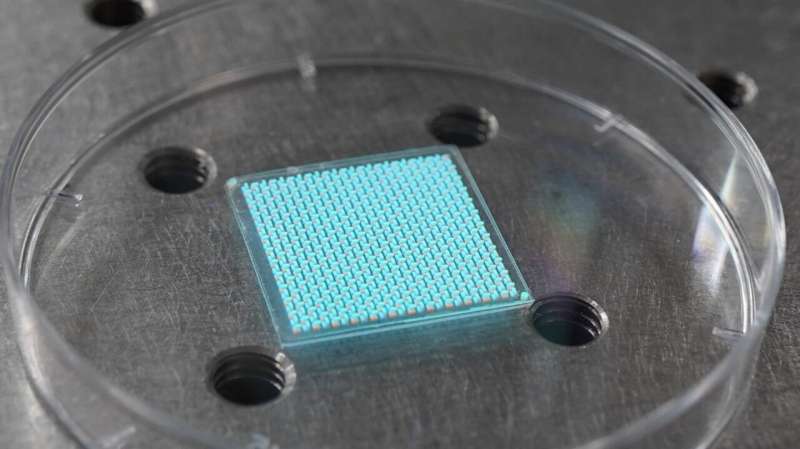 scientists-develop-a-n-1.jpg